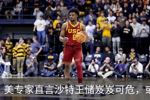 美专家直言沙特王储岌岌可危，或陷致命下场